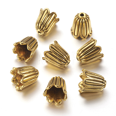 Tibetan Style Alloy Bead Caps X-TIBEB-00864-AG-NR-1