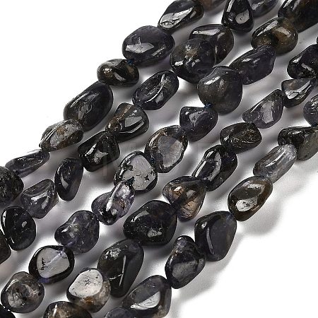 Natural Iolite Beads Strands G-P497-01E-35-1