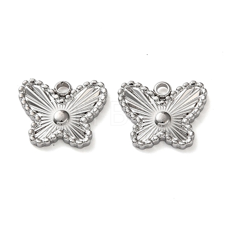 304 Stainless Steel Charms STAS-P440-02P-1