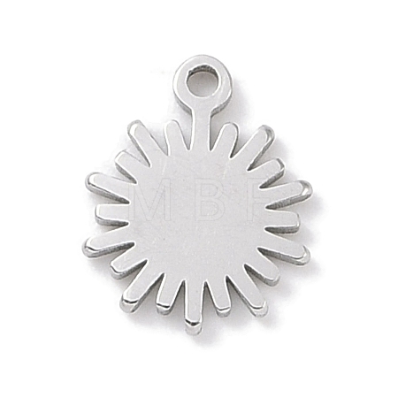 Non-Tarnish 304 Stainless Steel Charms STAS-K286-01H-P-1