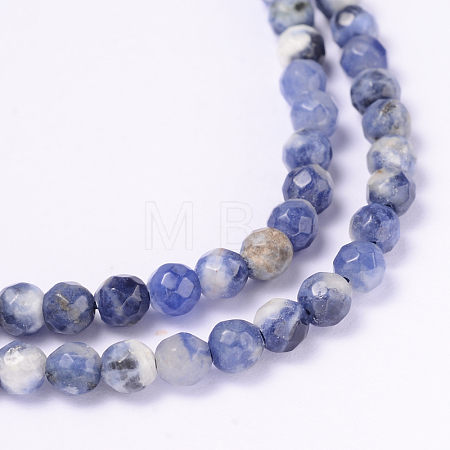Faceted Natural Sodalite Round Bead Strands G-L377-45-4mm-1