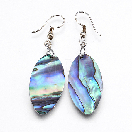 Abalone Shell/Paua Shell Dangle Earrings LS-EJEW-F147-E10-1