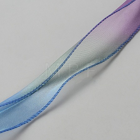 Polyester Mesh Ribbons SRIB-TAC0002-28A-01-1