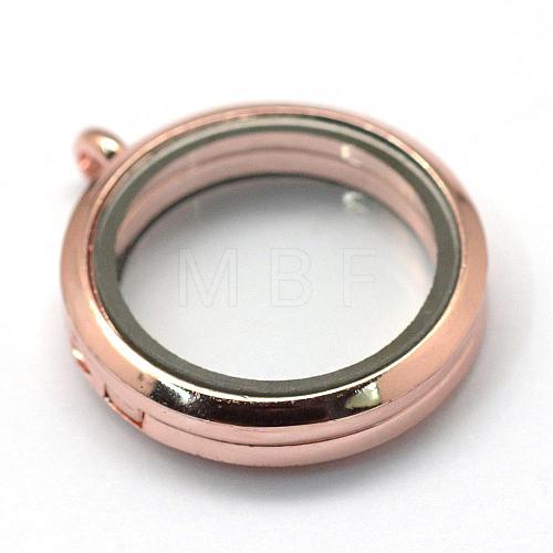 Flat Round Alloy Glass Magnetic Photo Frame Living Memory Floating Locket Pendants PALLOY-S046-01RG-1