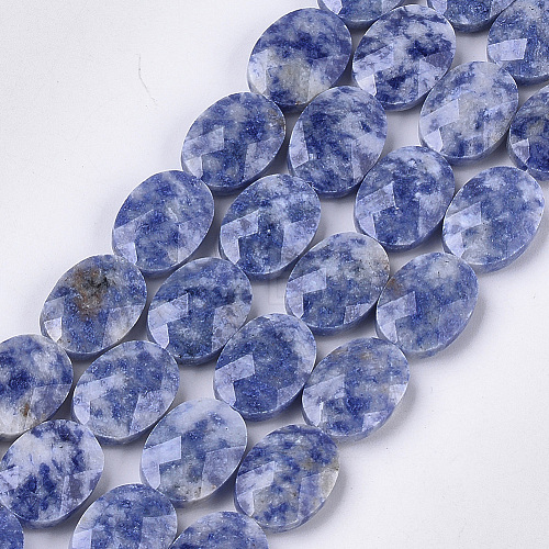 Natural Blue Spot Jasper Beads Strands G-S354-11-1