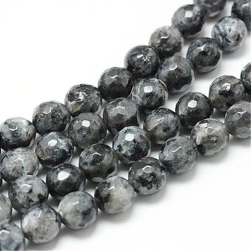 Natural Larvikite Bead Strands G-R176-8mm-07-1