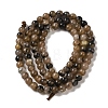 Natural Chiastolite Beads Strands G-Q161-A03-01-3