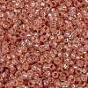 MIYUKI Round Rocailles Beads SEED-X0056-RR0642-2