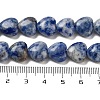 Natural Blue Spot Jasper Beads Strands G-B022-26C-5