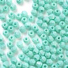 Baking Paint Glass Seed Beads X1-SEED-A032-02C-3