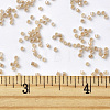 MIYUKI Delica Beads SEED-X0054-DB1731-4