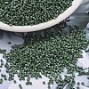 MIYUKI Delica Beads SEED-MY11-DB2312-1
