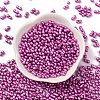 Baking Paint Glass Seed Beads SEED-L011-12A-12-2