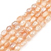 Natural Cultured Freshwater Pearl Beads Strands PEAR-P064-20H-02B-2