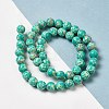 Synthetic Imperial Jasper Dyed Beads Strands G-P507-01A-01-2