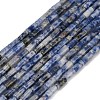 Natural Blue Spot Jasper Beads Strands G-P600-B05-01-2