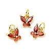 Rack Plating Brass Inlaid Cubic Zirconia Charms KK-G394-03G-2