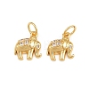 Brass Micro Pave Clear Cubic Zirconia Charms KK-H292-56B-G-1