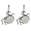 Natural Quartz Crystal Pendants G-D102-01P-05-1