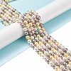 Shell Pearl Bead Strands BSHE-L017-17-2