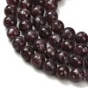 Natural Lepidolite/Purple Mica Stone Beads Strands G-H335-B03-6mm-A-4
