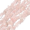 Natural Rose Quartz Chip Bead Strands G-M205-02A-1