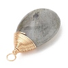 Natural Labradorite Pendants PALLOY-JF05086-02-5