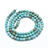Natural Howlite Beads Strands X-G-D0012-01A-2