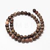 Natural Rainforest Agate Round Bead Strands X-G-P075-45-6mm-2