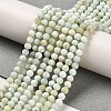 Natural Green Opal Beads Strands G-Z035-A02-02A-2