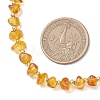 Natural Amber Chip Beaded Necklaces for Women NJEW-JN05862-3