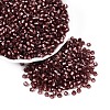 Silver Lined Glass Seed Beads SEED-T007-18A-13-1