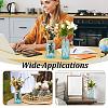 2Pcs 2 Styles Glass Vases Display Decorations AJEW-TW0001-28-7