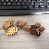 Wood Artificial Pine Cone Decorations Ornaments HULI-PW0002-033B-1