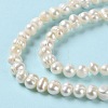 Natural Cultured Freshwater Pearl Beads Strands PEAR-E018-54-4