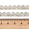 Natural White Moonstone Beads Strands G-Z137-A01-6mm-5