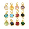 Brass Pave Cubic Zirconia Charms CU-CBA3D67-02G-1