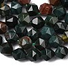Natural Bloodstone/Heliotrope Beads Strands G-Z119-A16-02-5