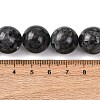 Natural Larvikite Beads Strands G-A310-A03-16mm-5