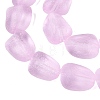 Frosted Handmade Lampwork Beads Strands LAMP-Q041-06E-3