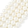Shell Pearl Beads Strands BSHE-K015-10mm-04-1