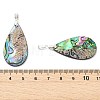 Natural Paua Shell Pendants PALLOY-JF05908-3