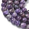 Natural Charoite Beads Strands G-C270-O02-10-4