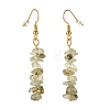 Natural Prehnite Chip Beaded Dangle Earrings EJEW-JE04788-11-3