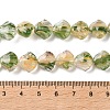 Inner Flower Handmade Lampwork Beads Strands LA-CBA3F7A-02F-4