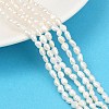 Natural Cultured Freshwater Pearl Beads Strands PEAR-P064-20E-03A-1