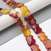 Natural Red Agate Beads Strands G-K359-D01-01-2