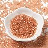 8/0 Glass Seed Beads SEED-Z001-C-E10-2