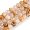 Natural Cherry Blossom Agate Beads Strands G-H062-A02-02-1