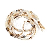 Natural Seashell Beads Strands BSHE-H109-09-3